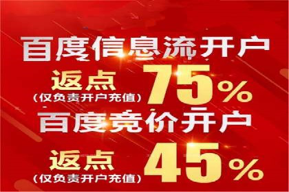 竞价广告的投放策略与效果评估——以一成功企业为例